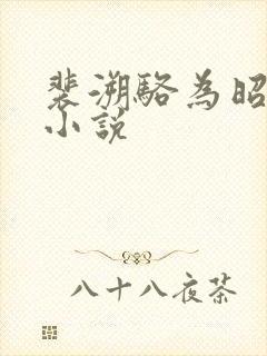 裴溯骆为昭同人小说