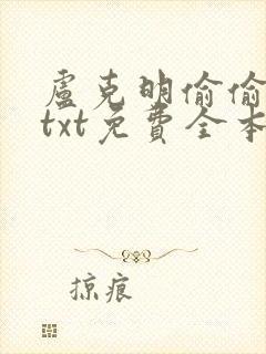 卢克明偷偷一笑txt免费全本封面