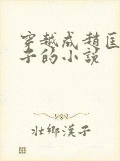 穿越成赵匡胤儿子的小说