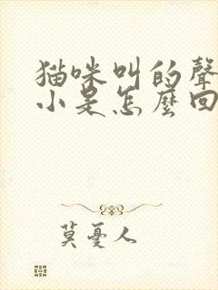 猫咪叫的声音很小是怎么回事