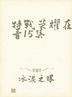 特战荣耀在线观看15集