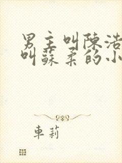 男主叫陈浩女主叫苏柔的小说