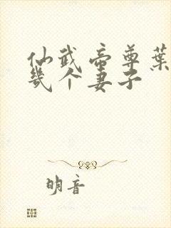 仙武帝尊叶辰有几个妻子