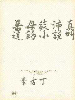 岳母苏沛真和林道的小说叫什么名字