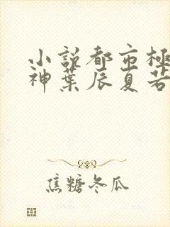 小说都市极品医神叶辰夏若雪无弹窗