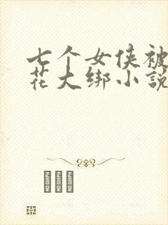 七个女侠被擒五花大绑小说封面