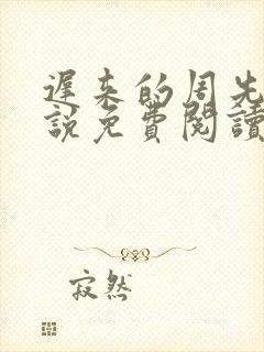 迟来的周先生小说免费阅读封面