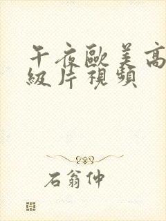 午夜欧美高清一级片视频