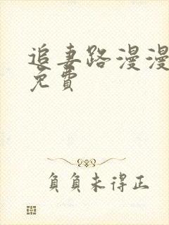 追妻路漫漫小说免费