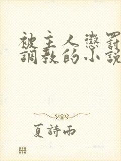 被主人惩罚玩弄调教的小说