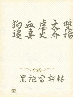 狗血虐文双男主追妻火葬场