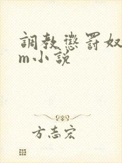 调教惩罚奴隶sm小说