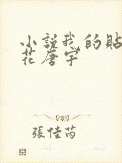 小说我的贴身校花唐宇封面