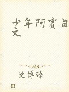 少年阿宾目录全文封面