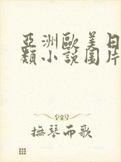 亚洲欧美日韩另类小说图片