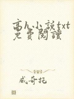 高h小说txt免费阅读