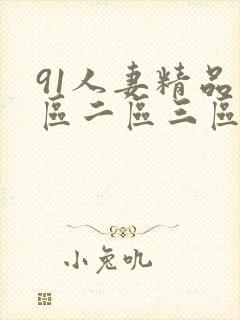 91人妻精品一区二区三区不卡