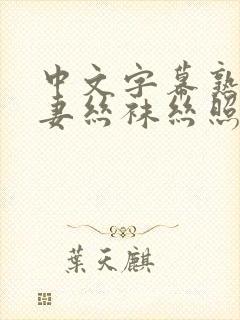 中文字幕熟女人妻丝袜丝照封面