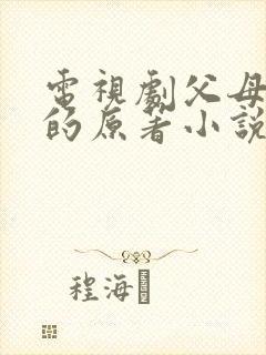 电视剧父母爱情的原著小说叫什么