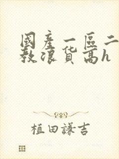 国产一区二区调教浪货高h