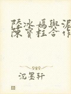 陆冰嫣与泥水匠陈宝柱合作详情与成