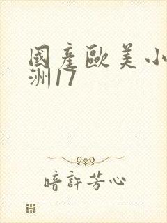 国产欧美小说亚洲17封面