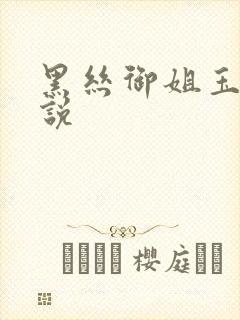 黑丝御姐玉足小说