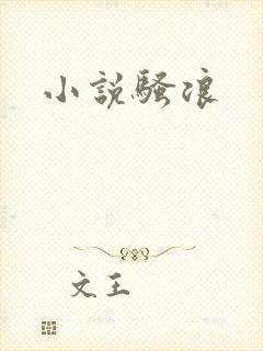 小说骚浪