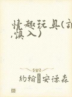 情趣玩具(调教,慎入)