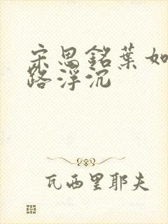 宋思铭叶如云官路浮沉封面