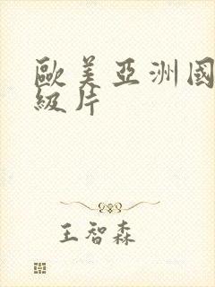 欧美亚洲国产一级片