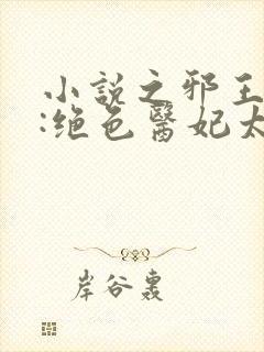 小说之邪王独宠:绝色医妃太逆天