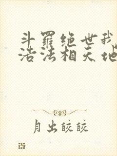 斗罗绝世我霍雨浩法相天地笔趣阁