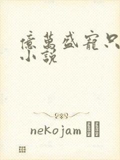 亿万盛宠只为你小说