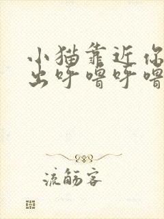 小猫靠近你时发出呼噜呼噜的声音