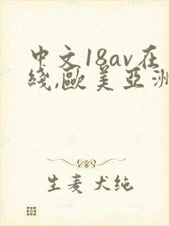 中文18av在线,欧美亚洲综合封面