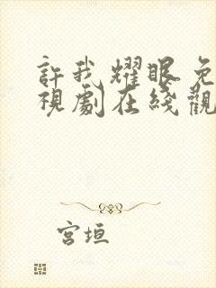 许我耀眼免费电视剧在线观看