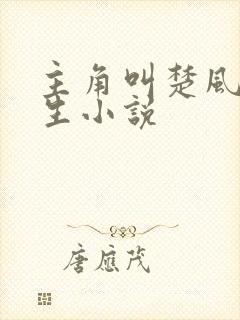 主角叫楚风的重生小说