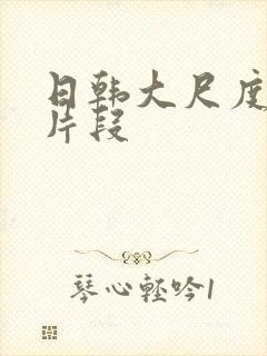 日韩大尺度床戏片段