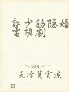 许少的隐婚甜妻电视剧