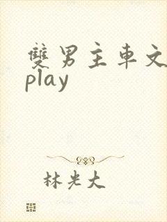 双男主车文失禁play