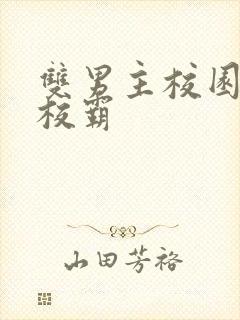 双男主校园小说校霸封面