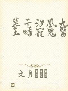 慕千汐凰九夜邪王嗜宠鬼医狂妃