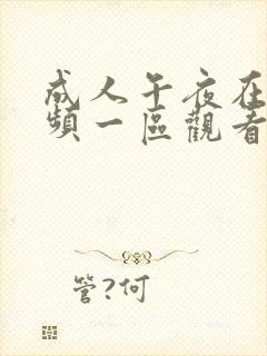 成人午夜在线视频一区观看