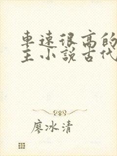 车速很高的双男主小说古代