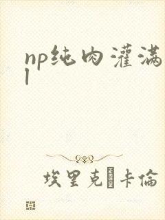 np纯肉灌满bl
