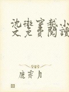 沈微穿越小说全文免费阅读