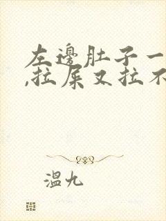 左边肚子一直疼,拉屎又拉不出