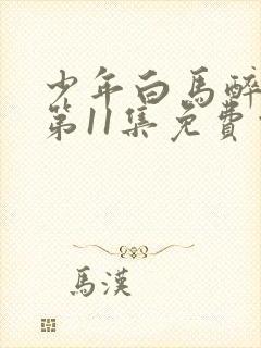 少年白马醉春风第11集免费观看