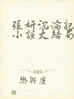 张妍沉沦记续写小说大结局封面